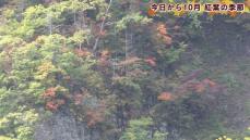 紅葉の季節到来　定山渓・豊平峡の見ごろは？