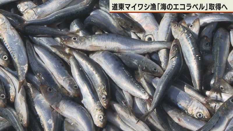 道東のイワシ漁　「海のエコラベル」認証へ