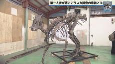 発掘のためアラスカへ　恐竜研究者が語る調査の狙いとは？