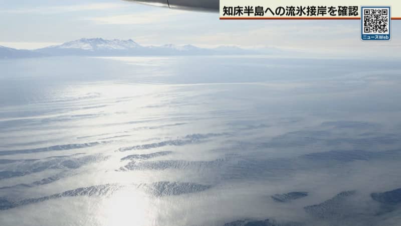 オホーツク海、冬の風物詩！知床半島への流氷接岸を確認