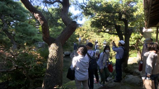 石川・金沢市の名勝「西氏庭園」で見学会