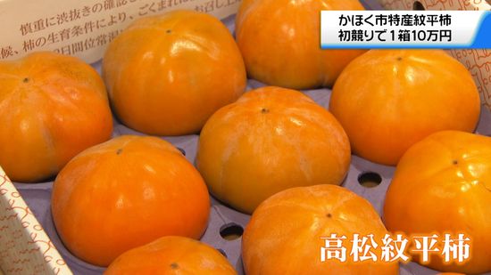 6年連続で1ケース10万円　石川・かほく市特産「高松紋平柿」初競り