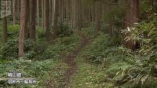 能登のきらめき～幾人もの思いが刻まれる心の道「峨山道」～