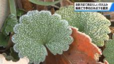 輪島で今季初の氷点下　石川は“師走らしい”冷え込みに　放射冷却の影響 各地で寒さ厳しく