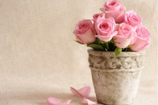 【らくらく風水】ピンクのバラを部屋に飾ると、恋人と結婚できる！