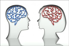 【血液型×脳タイプ】B型右脳はアーティスト、B型左脳はマッドサイエンティスト!?