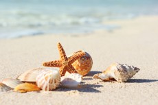 7月21日は海の日！　貝殻や砂浜を使った、願いをかなえるおまじない