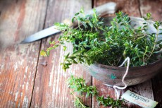 【置くだけでOK！サクッと風水】節約ベタは、キッチンの真ん中に観葉植物を置こう！