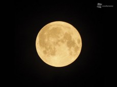
満月の明るさって、どのくらい？
        