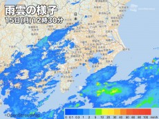 
東京都心など関東南部、午後は弱い雨に
        