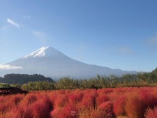 
＜写真＞そびえる秋富士　青空と秋色のコントラスト
        