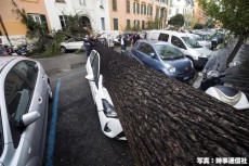 
イタリアで暴風雨 各地で浸水・倒木被害
        