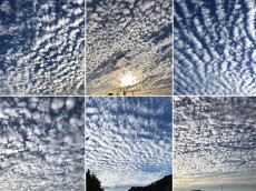 
11月初日の朝　関東から近畿の空を賑わす「うろこ雲・ひつじ雲」
        