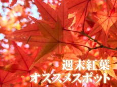 
【紅葉】おすすめスポット（11月16日〜18日）
        