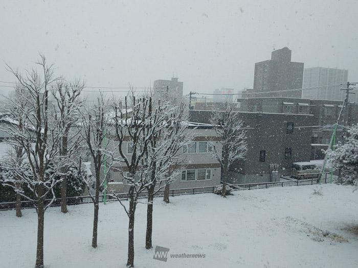 
札幌はいきなり3cmの積雪　北海道で本格的に雪が積もる
        