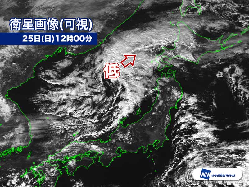 
北日本に低気圧が接近　強雨や落雷に注意
        
