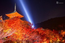 
至極の紅葉ライトアップ　京都・清水寺
        