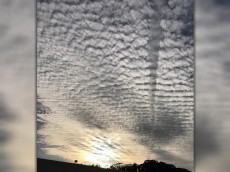 
暖かな師走の空に広がる天気下り坂のサイン
        