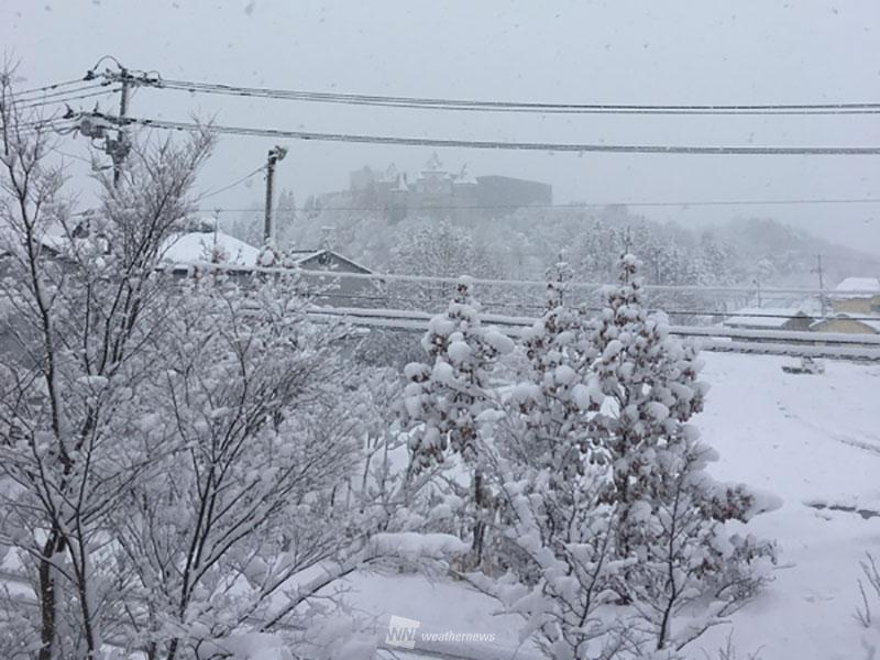 
年末寒波襲来　東北中心に積雪急増
        