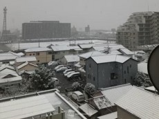 
名古屋で5cmの積雪　路面状況の悪化に注意
        