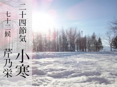 
二十四節気「小寒」七十二候「芹乃栄」厳しい寒さのおかげで人間も野菜もレベルアップ！
        