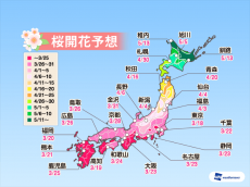 
【桜開花予想2019】桜開花トップは東京で3/18　西・東日本は例年並〜やや早い開花に
        