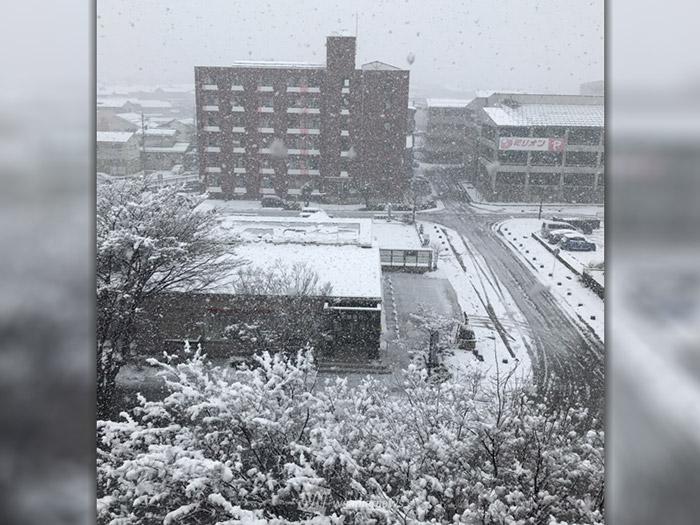 
北陸に活発な雪雲　金沢は今冬一番の積雪に
        