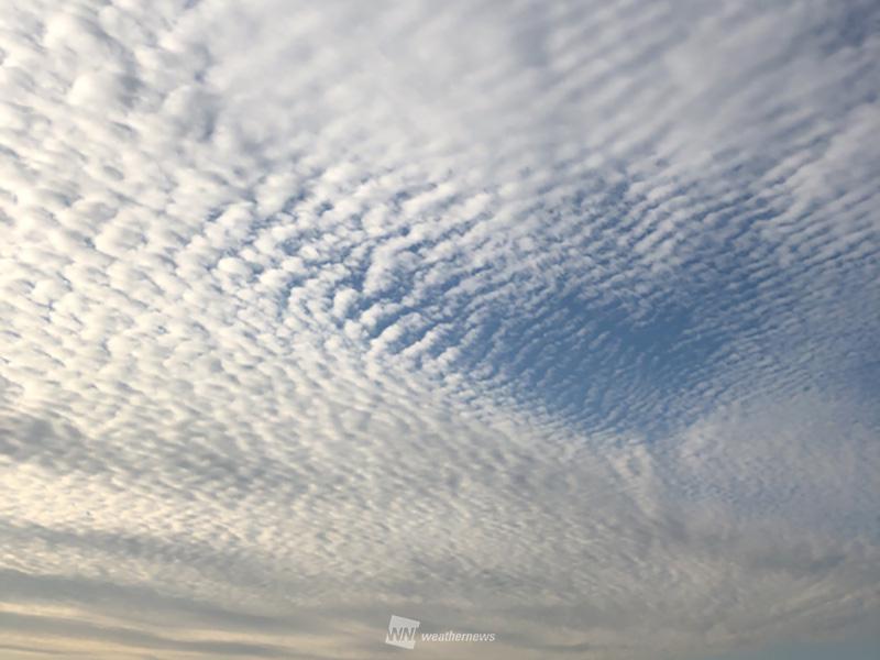 
近畿や瀬戸内でウロコ雲・波状雲　天気下り坂の典型
        