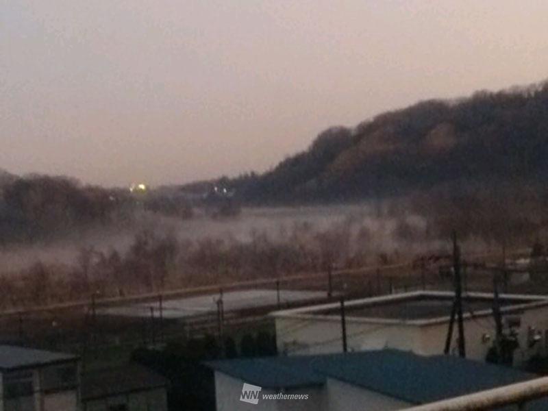 
7日(木)朝は関東で霧の可能性
        