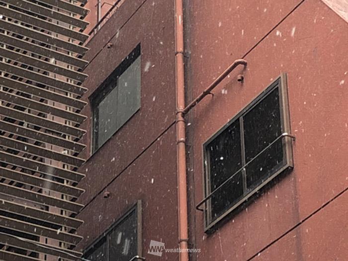 
東京都心で雪を観測　2月では4日目
        