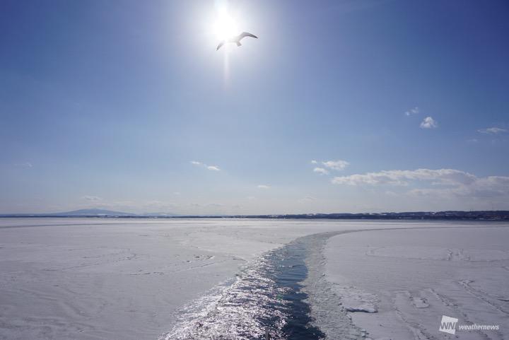 
冬のロマン&quot;オホーツク海の流氷&quot;が見頃　17日(日)は青空に期待！
        