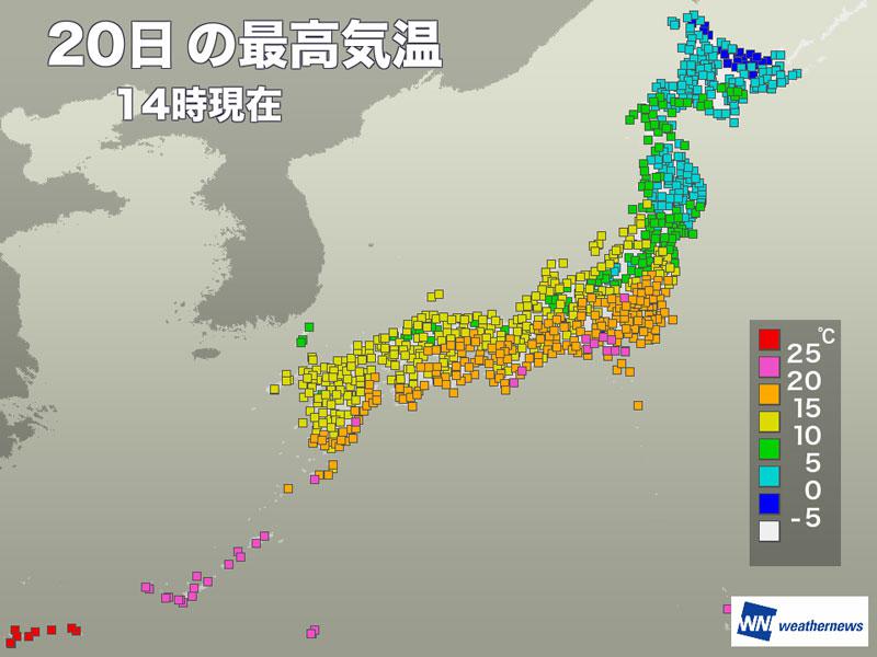 
春爛漫の陽気　東京は今年最高気温、静岡や熊谷は20℃超え
        