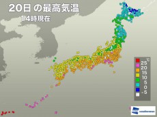 
春爛漫の陽気　東京は今年最高気温、静岡や熊谷は20℃超え
        