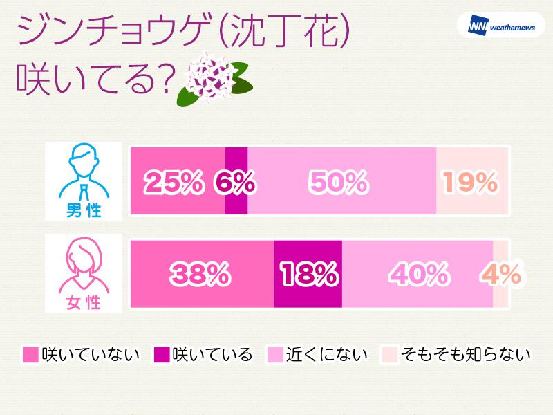 
男性の5人に1人は知らない… 春の甘く強い香りの正体は「ジンチョウゲ」
        