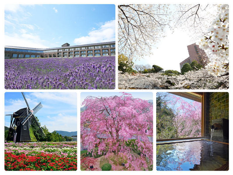 
世界に誇る日本の“春景”を愛でる宿5選
        