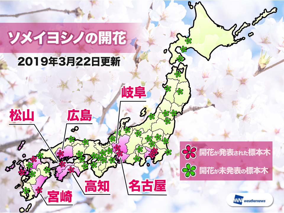 
22日(金)は桜開花ラッシュ 西日本や東海で6ヶ所開花
        
