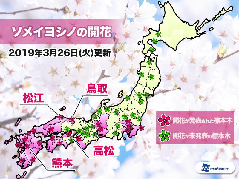 
26日(火)も連日の桜開花ラッシュ　松江・鳥取は3年ぶりの同日開花
        