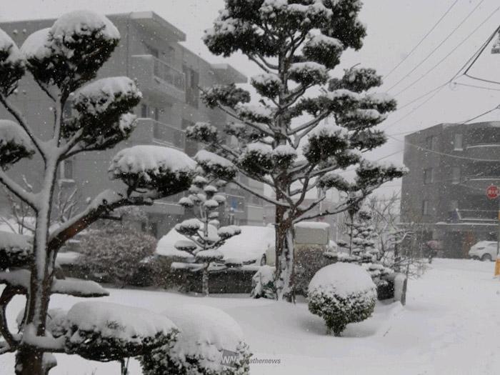 
札幌で積雪6cm　北海道ではまた雪化粧
        