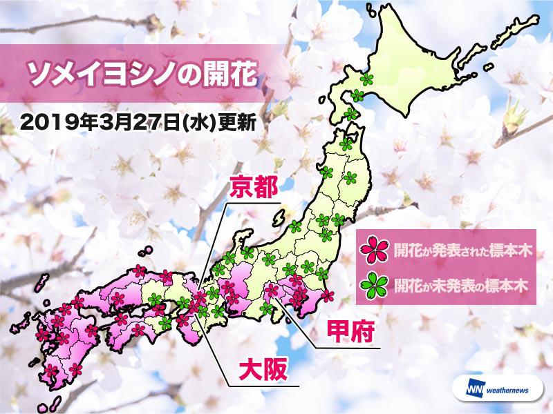 
京都・大阪でソメイヨシノ開花　ともに平年より1日早く
        