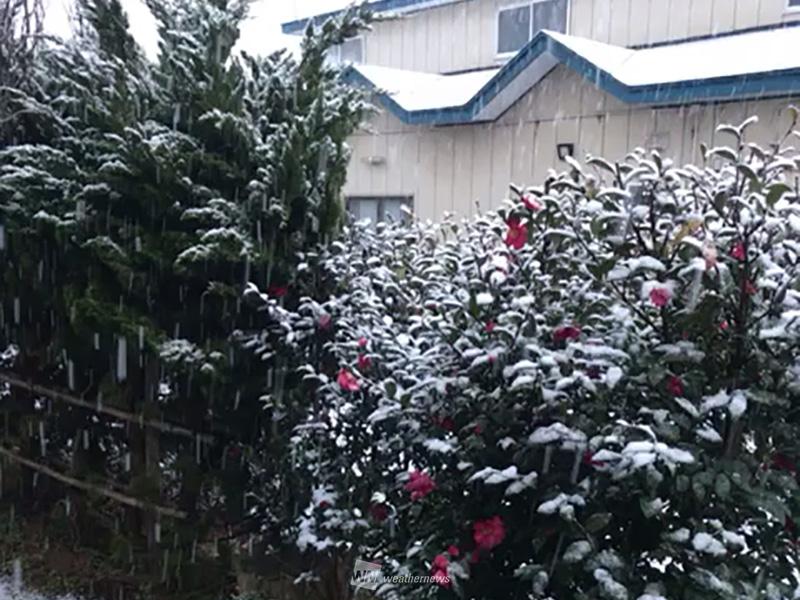 
東北で雪強まり秋田は積雪　今夜は北陸で雷雨に
        