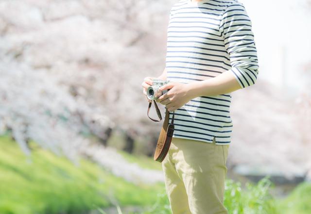 
天気別にわかる　桜の写真の撮り方
        