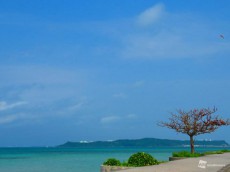 
那覇で一週間ぶりの夏日　週明けは20℃割り込み気温変化大
        