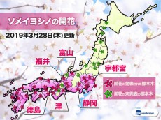 
28日(木)は桜前線が北陸へ 福井と富山で開花
        