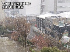 
東北各地で春の雪　仙台は2か月ぶりに1cm以上の積雪
        