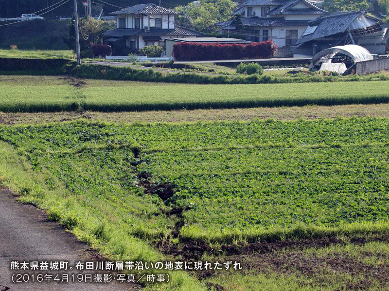 
断層型地震での震度6弱以上の揺れ　平成31年間で観測したのは国土の8.3%
        