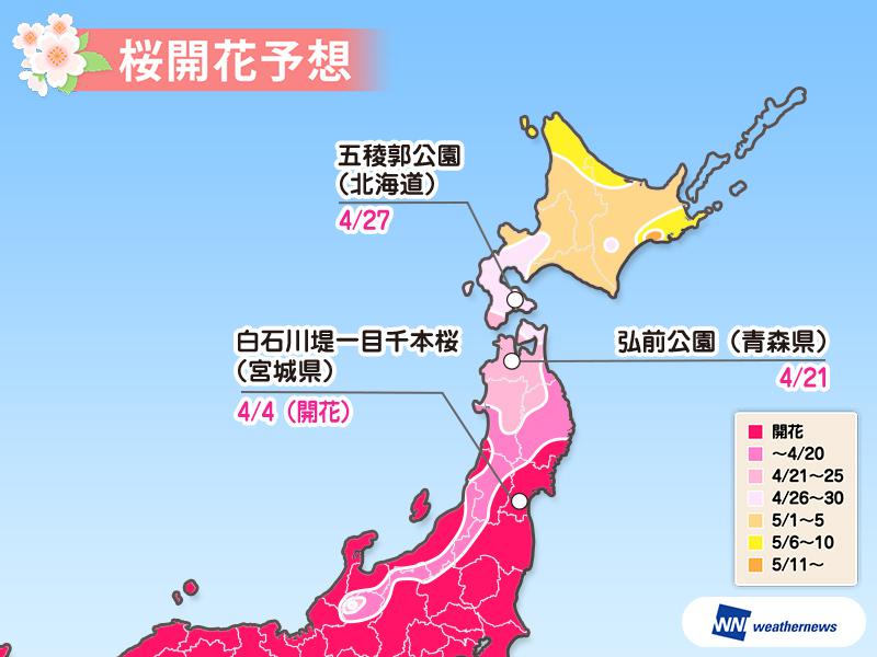 
【桜開花予想2019】青森・弘前公園はGW初日に満開へ 来週には北海道でも開花予想
        