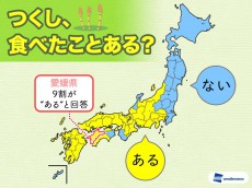 
つくし　国民の6割は食べた経験あり　愛媛県民の9割が食べたと回答
        