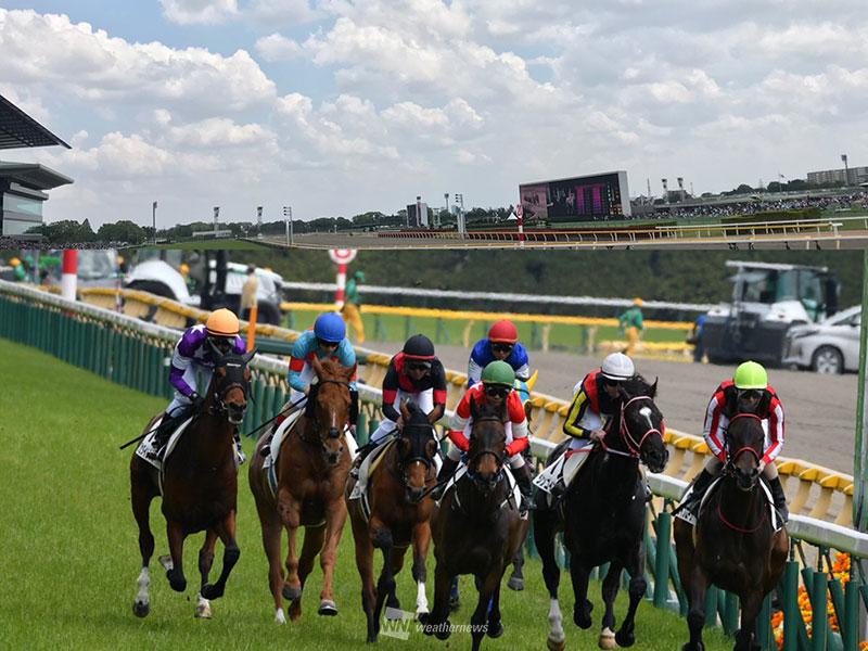 
降雹で一部延期の東京競馬場　5日(日)は令和最初のG1馬誕生へ
        