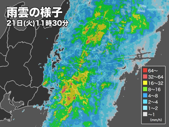 
東京都心はランチタイムが風雨ピークに　横浜や千葉は20m/s超の強風
        