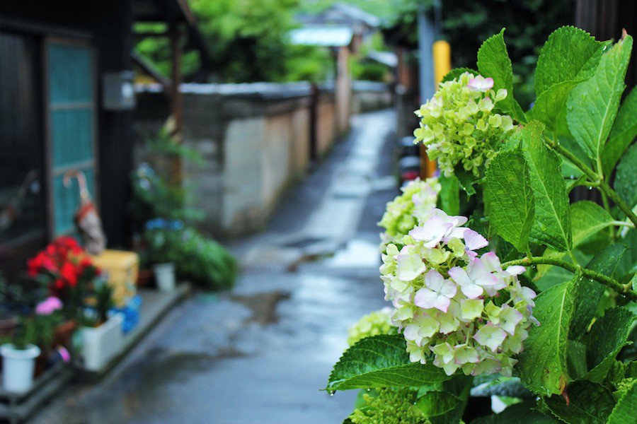 
「梅雨入り」の決め方は？
        